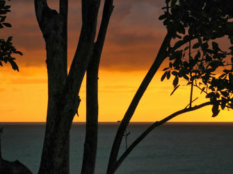 036 room with a view.jpg