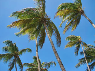 084 plage de la perle.jpg