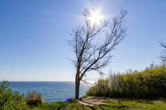 016-Stevns Klint.jpg