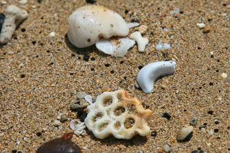 072 plage de la perle.jpg