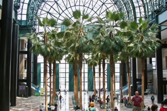 082 The Winter Garden.jpg