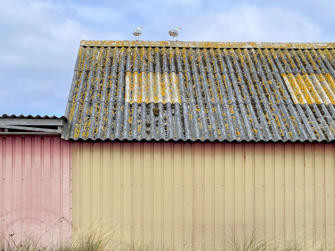 032-Denmark.jpg
