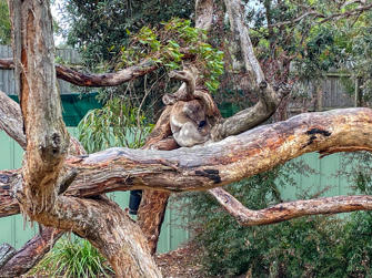 049-Australia.jpg