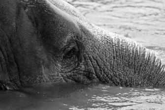 ZOO-23.jpg