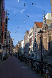 078-Holland.jpg