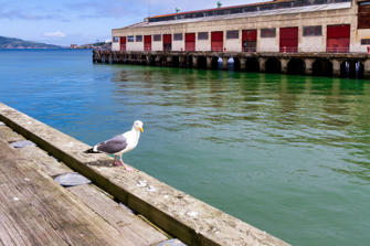 014-San Francisco-14.jpg