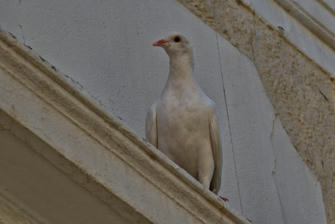 042-Greece.jpg