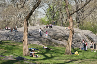 029 Central Park.jpg