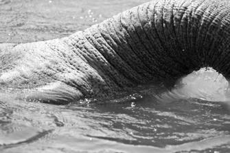 ZOO-24.jpg