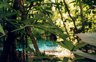 039-Thailand.jpg