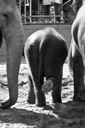 ZOO-19.jpg